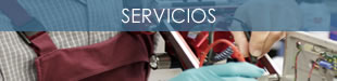 Servicios